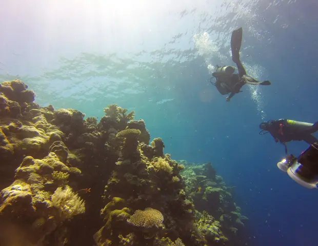 Coral Reefs on Phi Phi Island